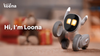 Loona Petbot Review: No leash required