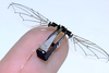 RoboBees: Harvard's Micro-Robots Revolutionizing Farming Practices