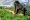 FARMING
