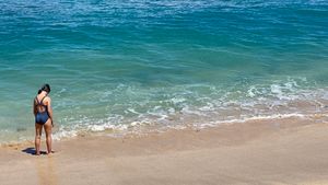 Little Frog Vacation Endend